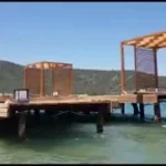 Recording 12/11/25 16:37:37