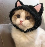 Dark Walk Home On Your Own