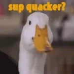 SMITE DUCK