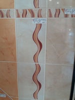 Conor McGregor Octagon Interview