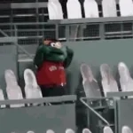 fence monster