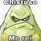 Chistoso me rei
