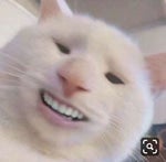 Smule Still Loving You~1