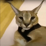 Bosanska Artiljerija both instrumentals looped