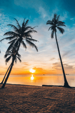 ＰＡＩＳ　ＴＲＯＰＩＣＡＬ - Sound