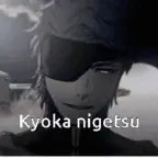 type soul kyoka bankai