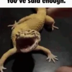 Gecko Mad
