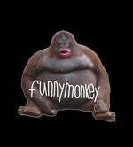funnymonkey