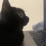 raider-flare-indoor-close