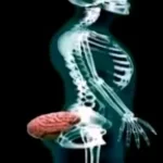 ia-tebe-v-karman-nasru