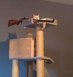 Bad to the Bone