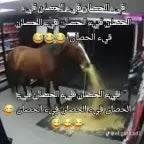 Goblin Powrócił - Sound