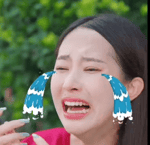 Temu Webung Lügner Deutsch