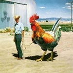 Modjo Lady (Hear Me Tonight) (Official Video) 1