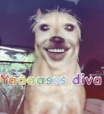 TUCA DONKA HAKARI DANCE 4k LONG VERSION