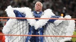 Ric flair woo