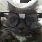 You don't know rita?