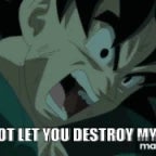 i will not let you destroy my world