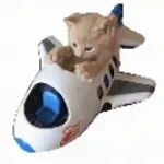 Plane Beep