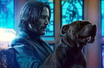 Keanu Reeves - John Wick - John Wick