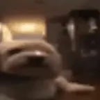 Hola ,me pican los cocos!!!!