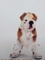 Dead ringer sound - Sound