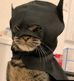Im batman
