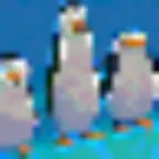 los pinguinos