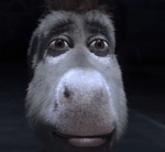 Why its Osama Bin Laden