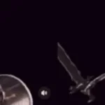 skeleton bashing shield