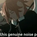 genuine noise pollution