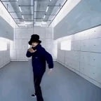 extended virtual insanity
