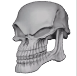 C.A.S.S.I.E from SCP SL singin ballin - Sound