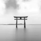 SpotiDownloader.com - Oorlog - Zarfani (copy)