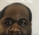 I just lost my dog - Heavenly