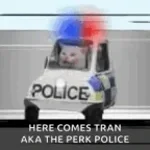 kurwa-z-policji-mnie-skula