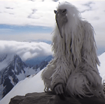 Meshuggah Rational Gaze