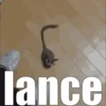 Kuva salvestamine 2025-11-05 184925