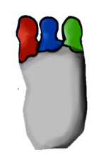 LOUD DEMONS AROUND YIPPE