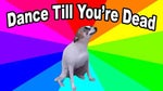 DANCE TILL YOURE DEAD