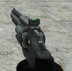 Black Mesa 357 Magnum Shot