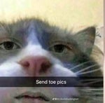 SOUND EFFECT DERANGED WOMAN SCREAM - Sound