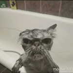 we just nuked the building