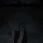 nope ur too late im already dead (SLOWED) (copy)