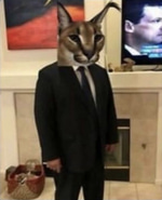 nu iesiti din casa ca e jale