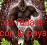 um lagarto um lagartinho