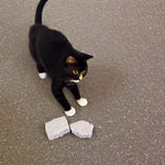 oh, im sorry i dropped it