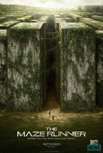Into the Maze