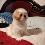 Que Agusticidad Eda - Sound