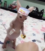 edging my snoring (feature length)